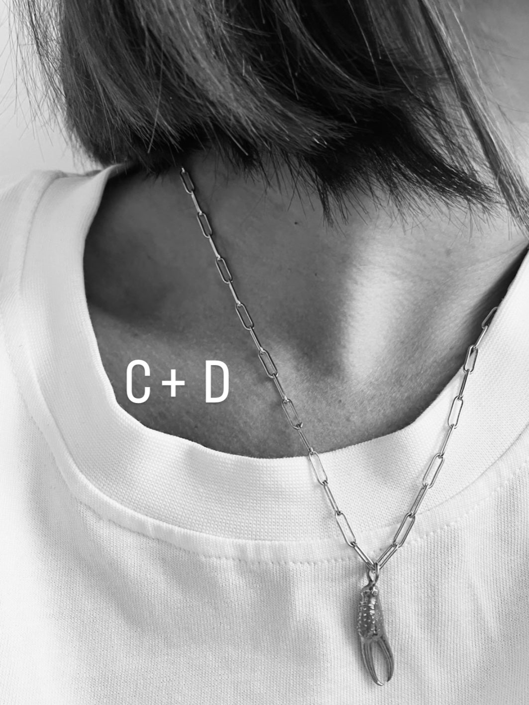 Loose chains (without pendants)