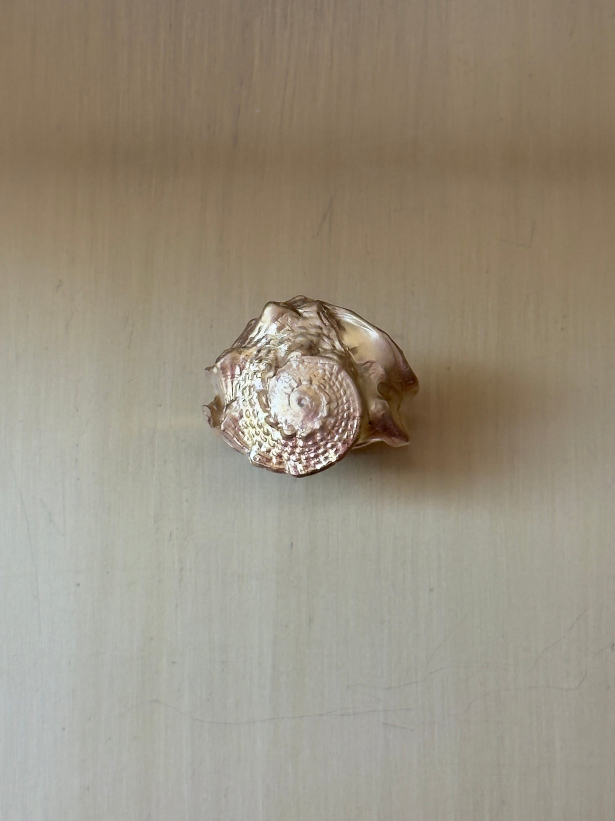 FOSSIL